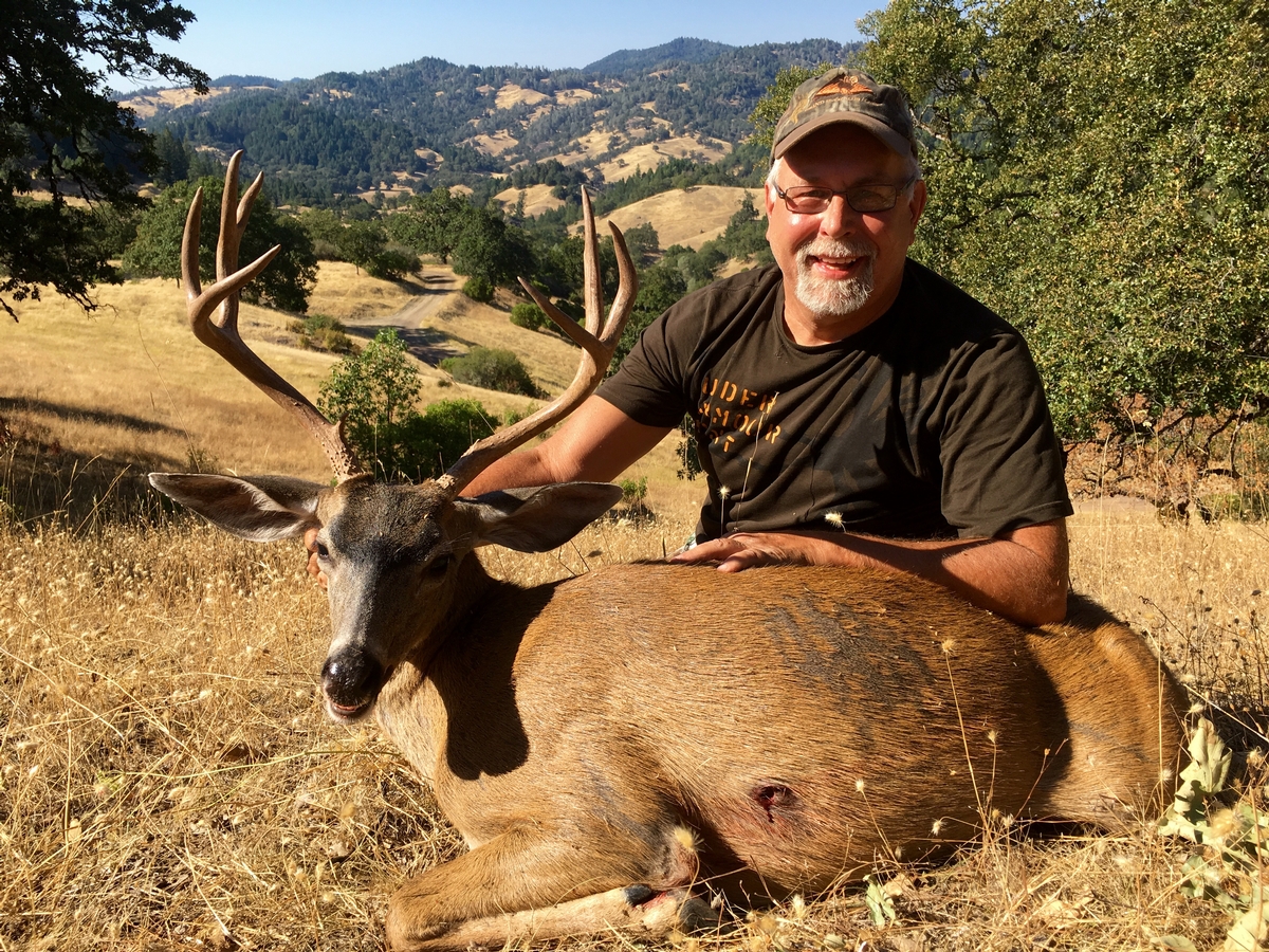Blacktail Deer